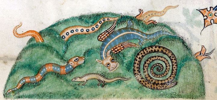 A dynamic living&nbsp;space